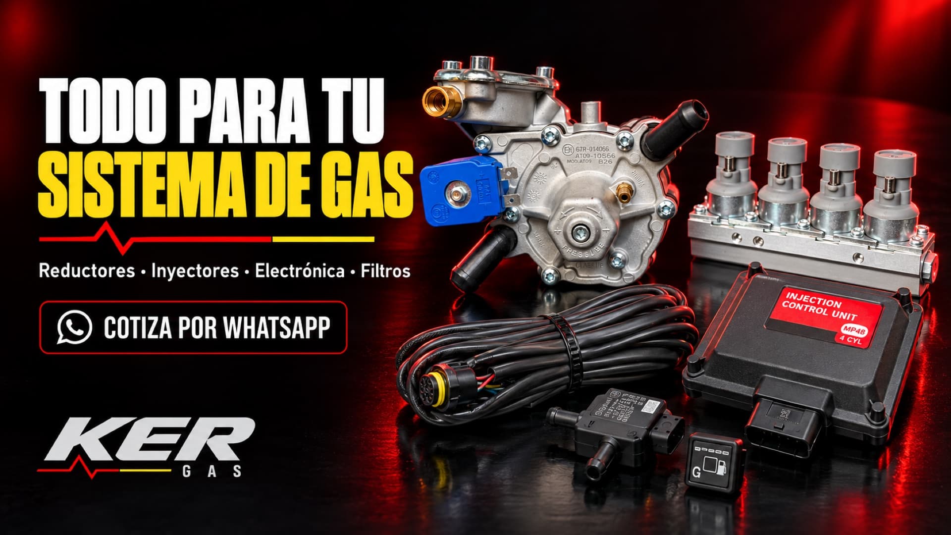 Todo para tu sistema de gas: reductores, inyectores, electrónica y filtros
